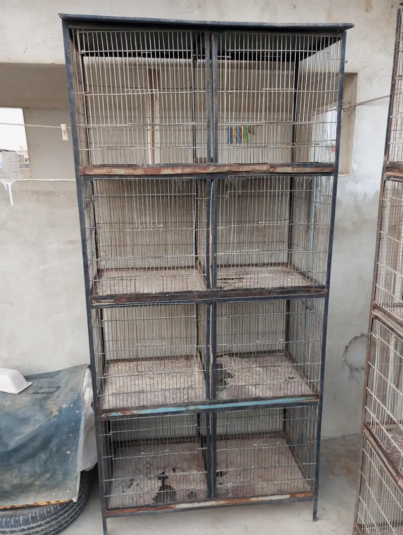 3 cages — photo 4