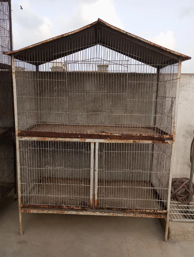 3 cages — photo 5