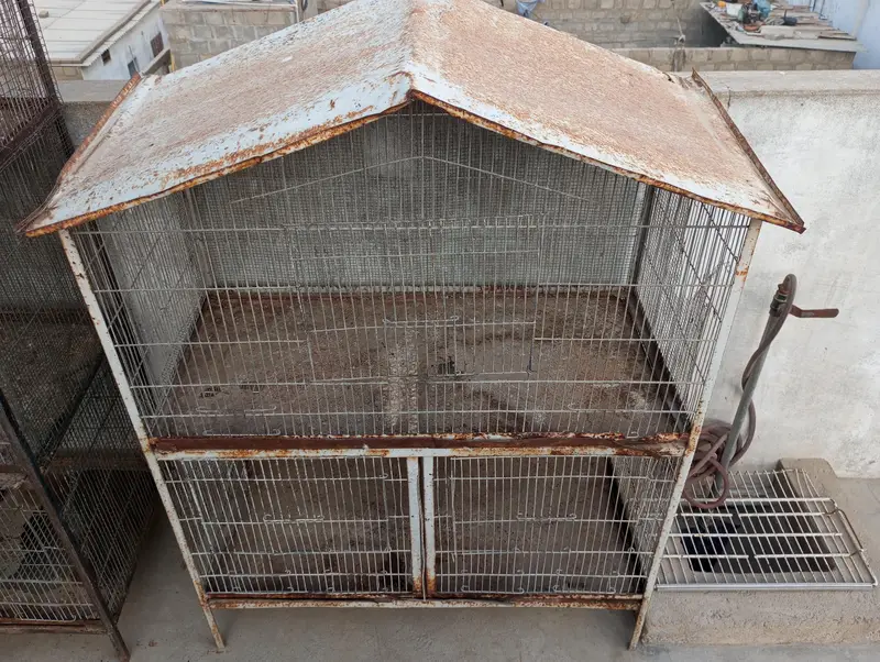 3 cages — photo 6