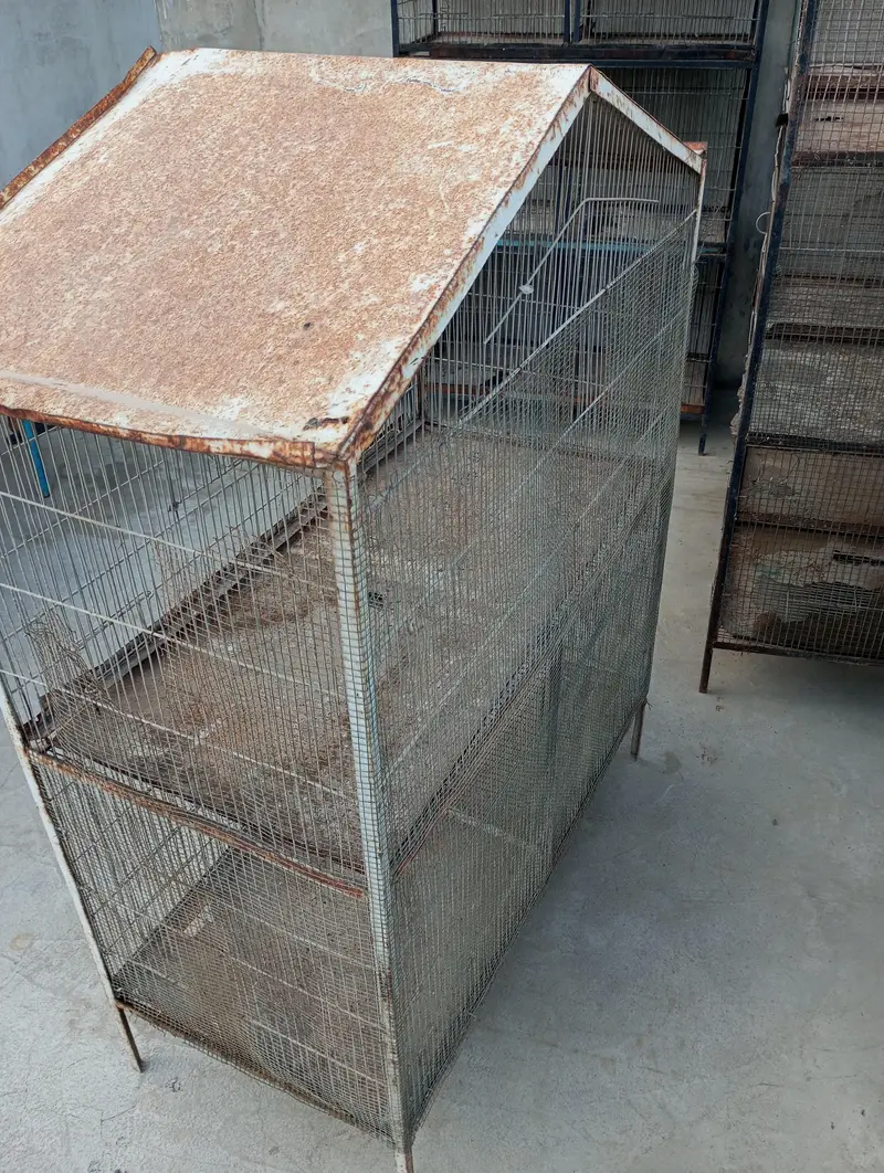 3 cages — photo 7