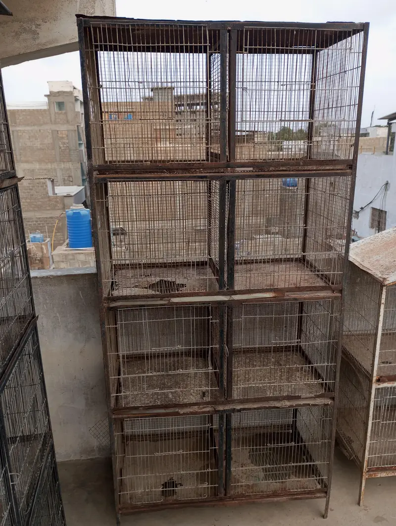 3 cages — photo 8