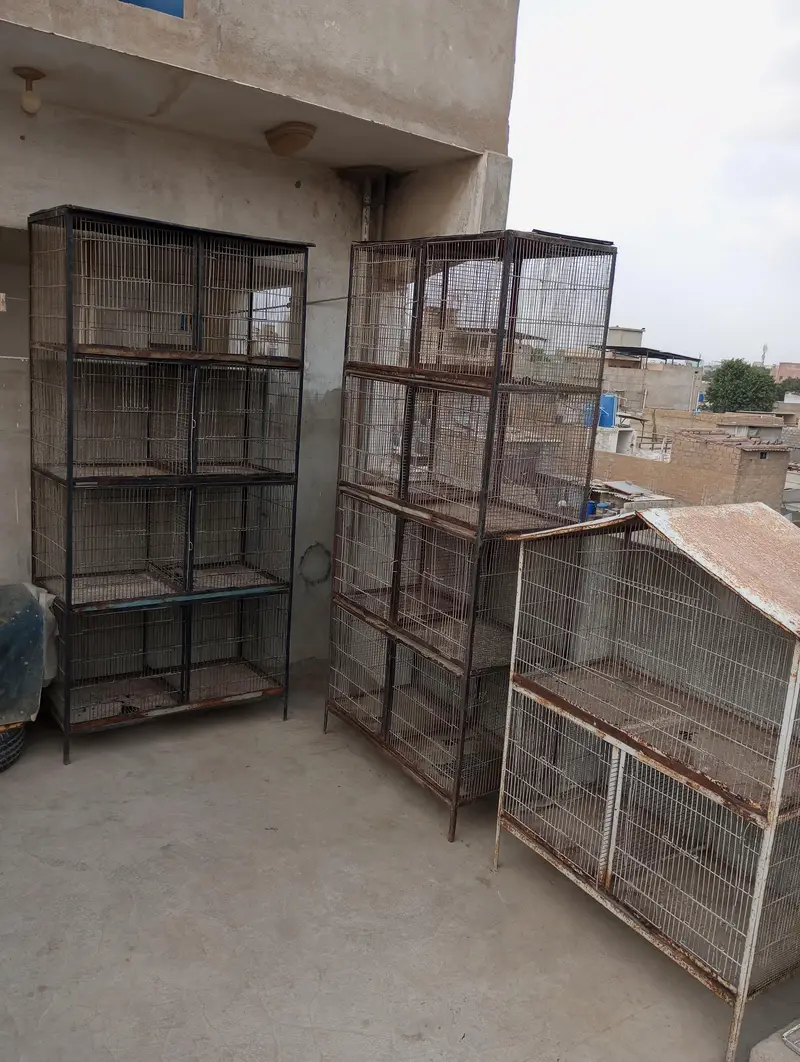 3 cages — photo 9