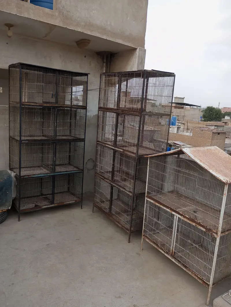 3 cages — photo 10