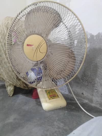 orignal royal fan