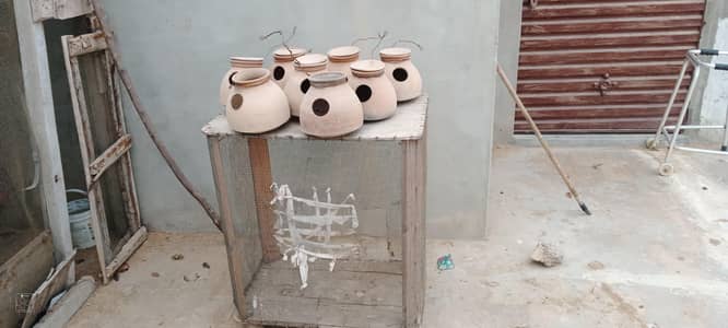 hen cages and matka 8