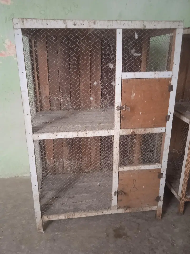2 cages for sale per cage 12.50