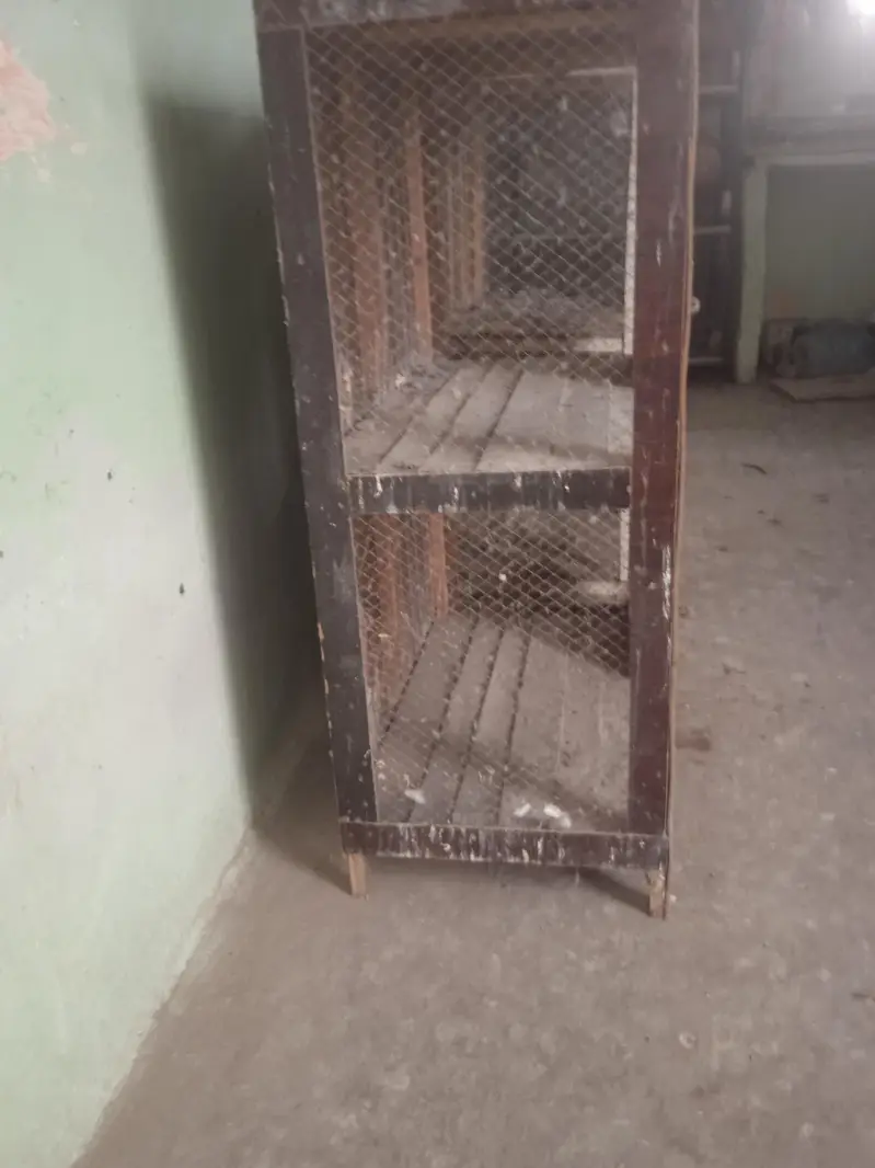 2 cages for sale per cage 12.50 — photo 2