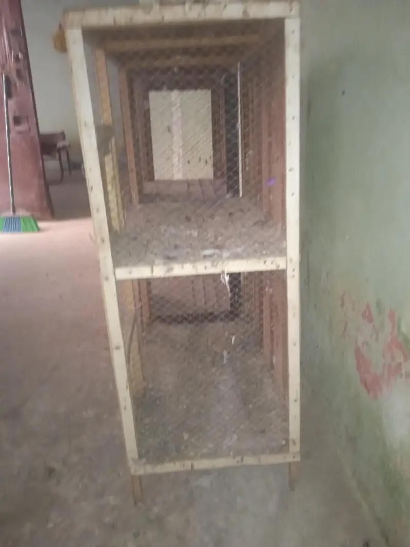 2 cages for sale per cage 12.50 — photo 4