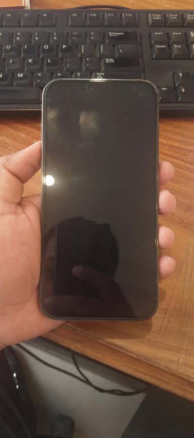 Apple iPhone 13 Pro Max