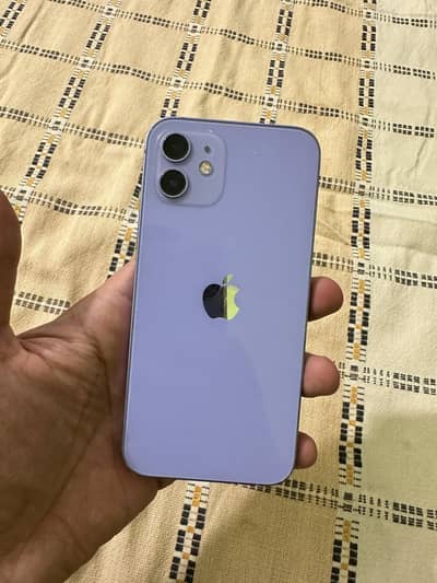 Apple iPhone 12