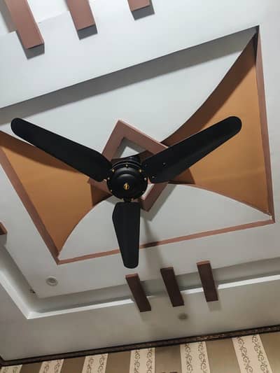 Ac Fan