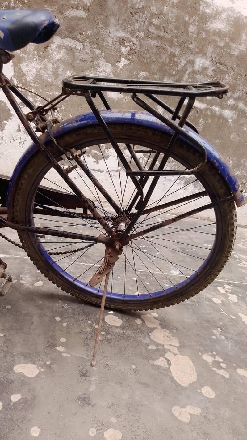 cycle 3