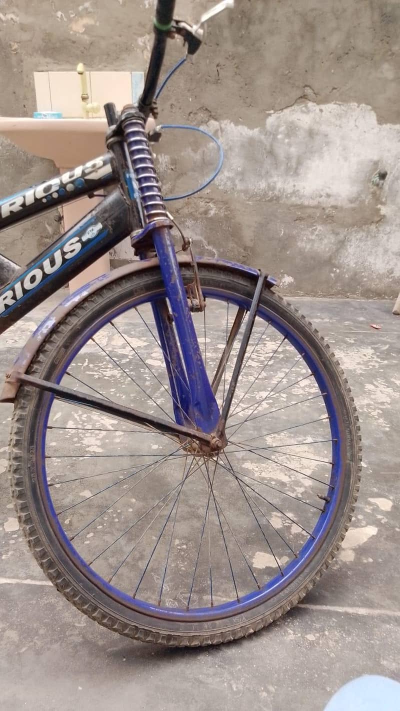 cycle 5