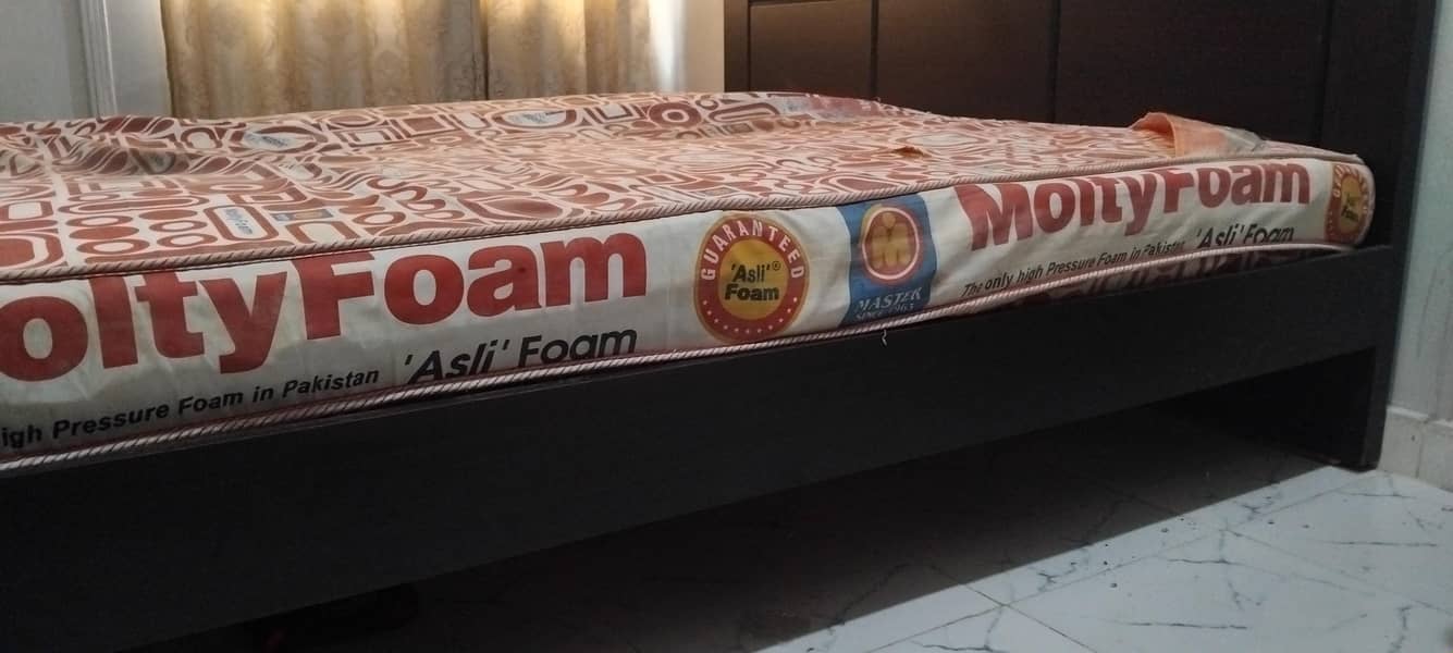 MASTER MOLTY FOAM 8
