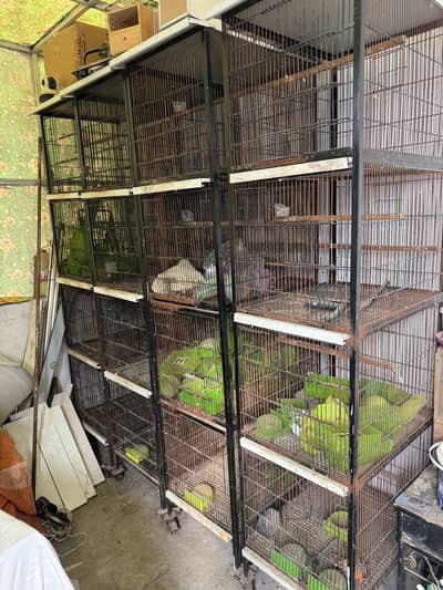 4 portion cages available 1.5ftx1.5ft front 2ft depth