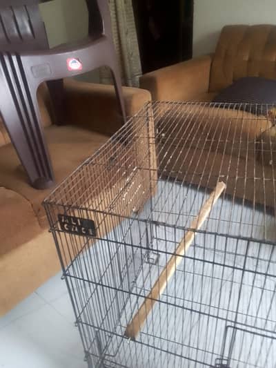 2×2×3 cage cage niche ki plate hai lekin tuti Hui hai  03244681318