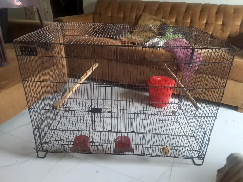 2×2×3 cage cage niche ki plate hai lekin tuti Hui hai  03244681318 — photo 3