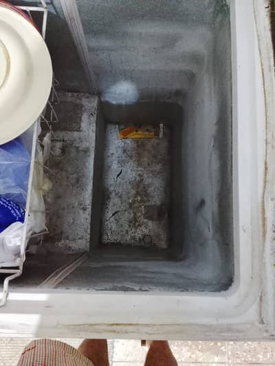 Waves Double door Freezers