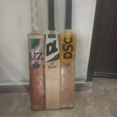 Cricket bats
