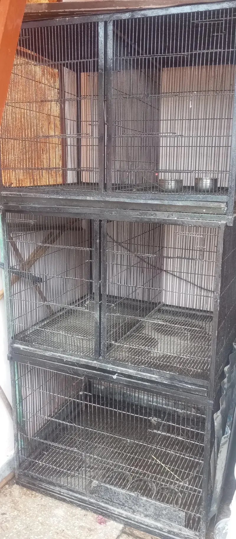 3 Gage for Birds — photo 3
