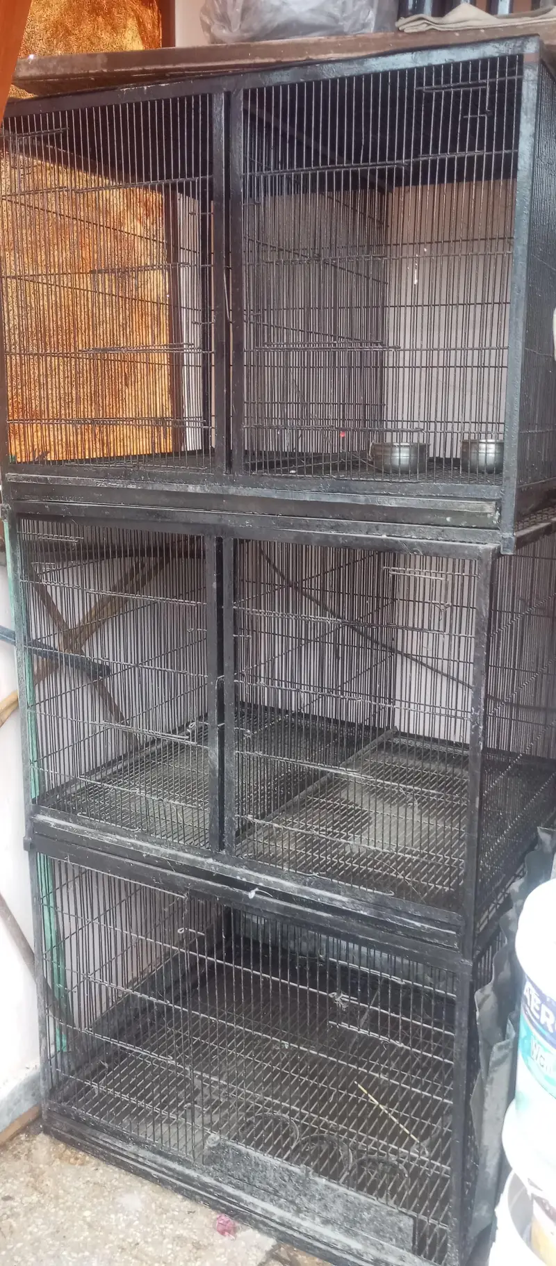 3 Gage for Birds — photo 4