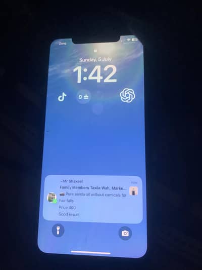 iPhone XS Max 256