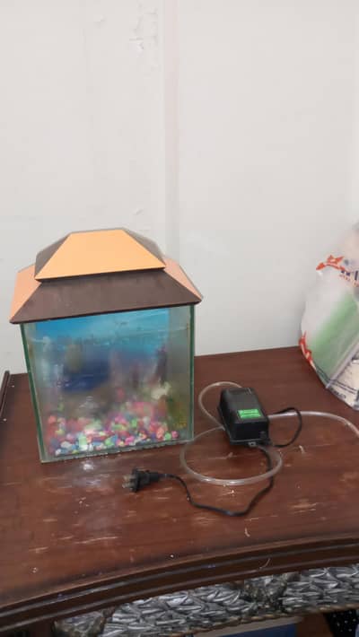 FISH AQUARIUM WITH FILTER
