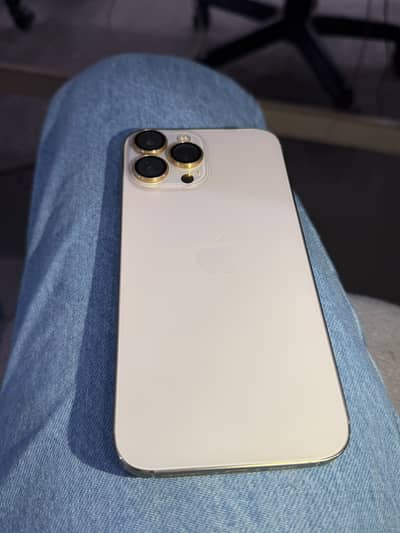 Apple iPhone 13 Pro Max