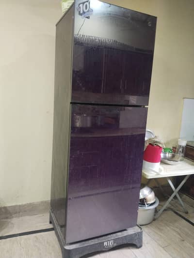 PEL Full Size Inverter Refrigerator | Large Double Door Fridge 10/10