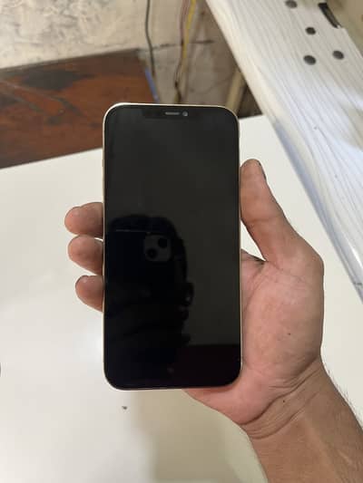 Apple iPhone 12 Pro Max pta approved