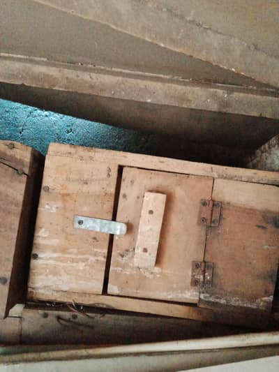 Breeding Box