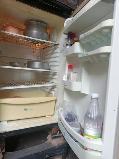 pel Fridge