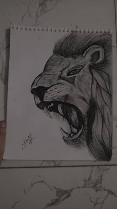 hand made pencil sketch