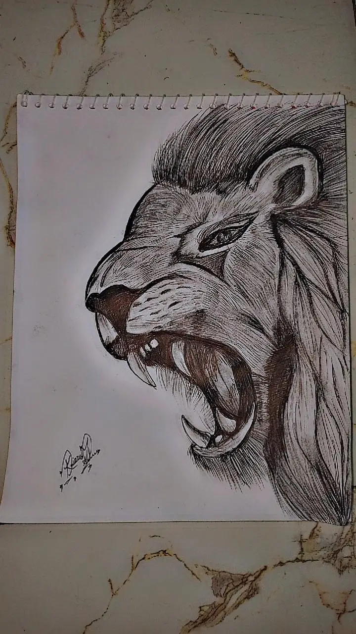 hand made pencil sketch — photo 2