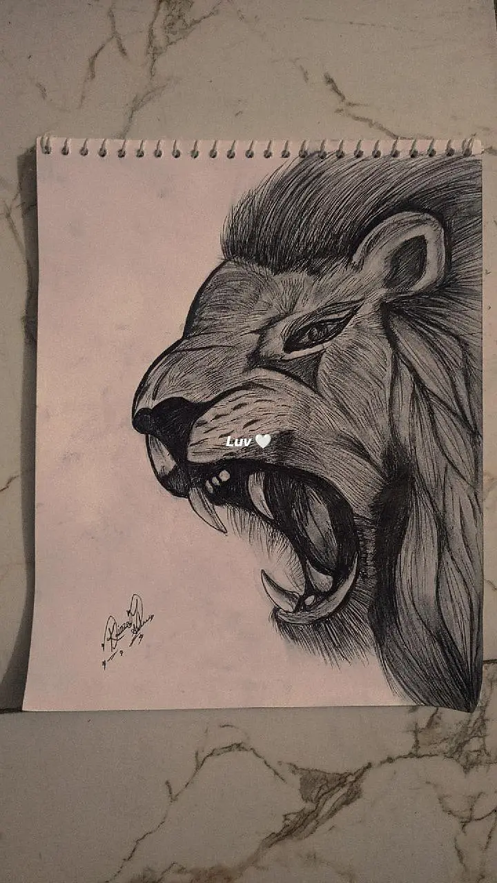 hand made pencil sketch — photo 3