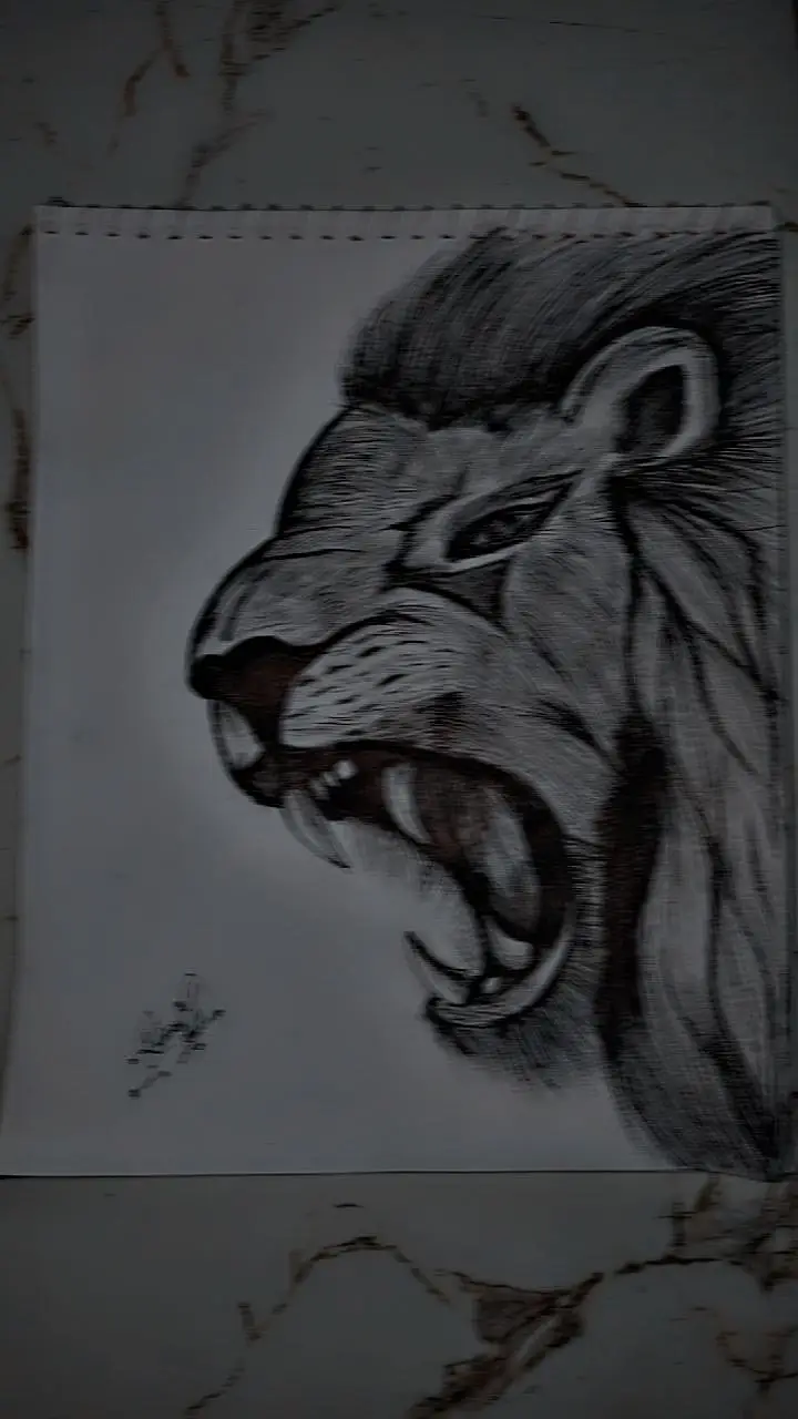 hand made pencil sketch — photo 4
