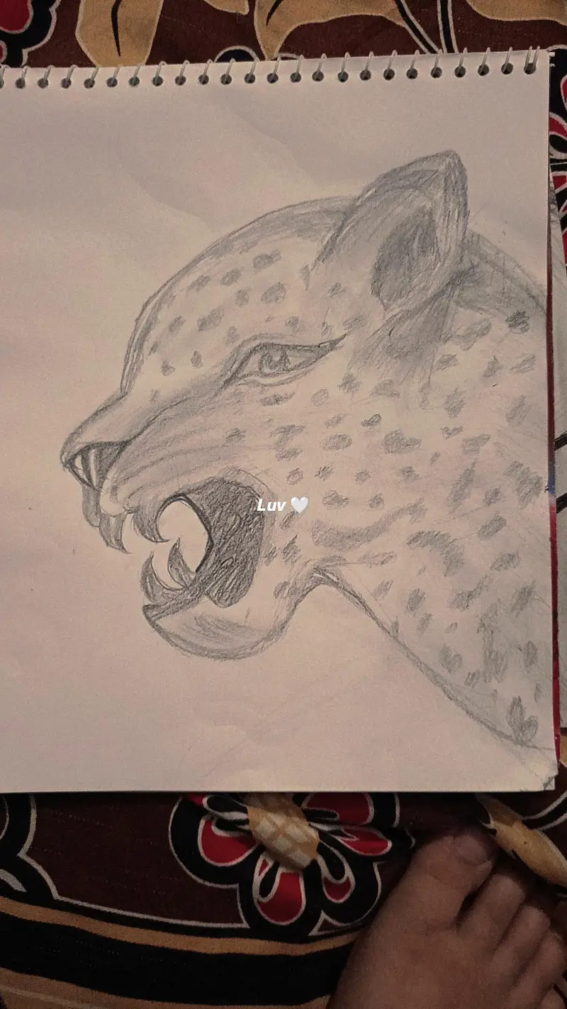 hand made pencil sketch — photo 5