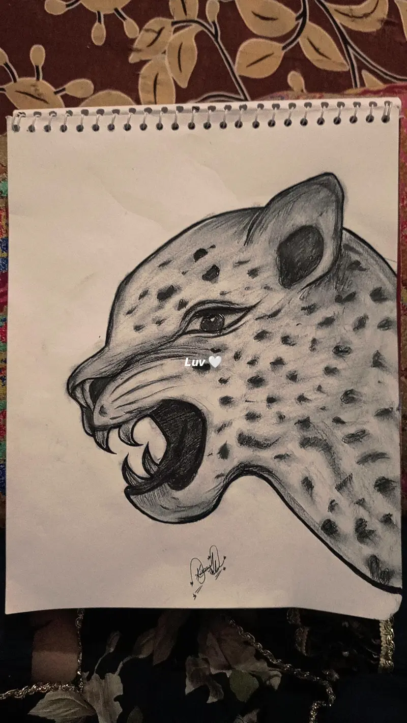 hand made pencil sketch — photo 6