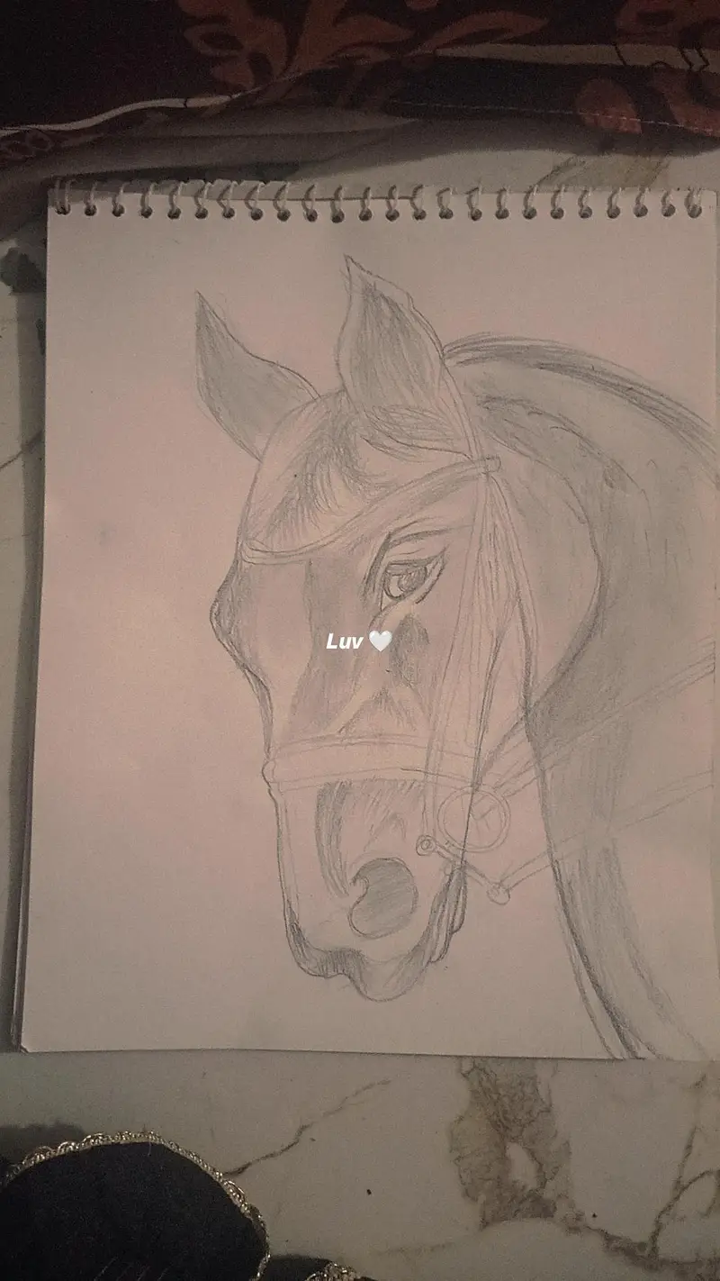 hand made pencil sketch — photo 7