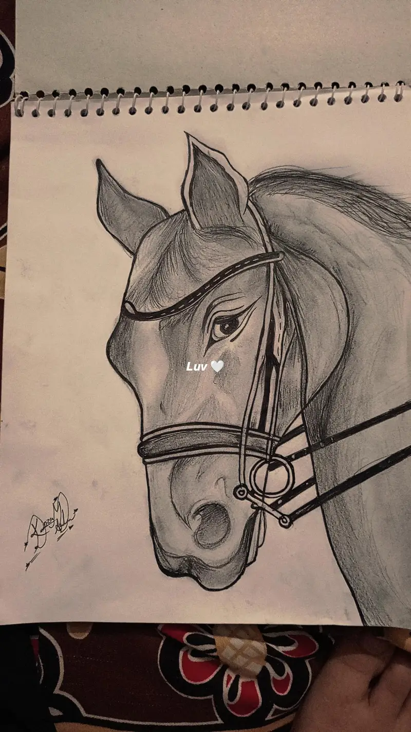 hand made pencil sketch — photo 8