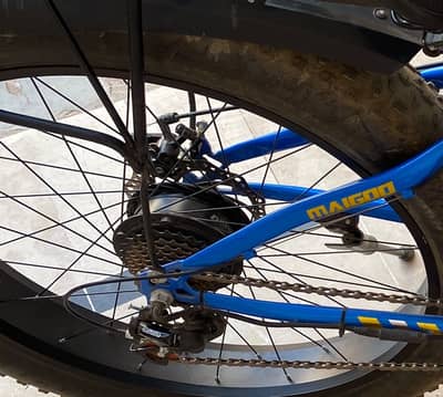 Electric Bicycle