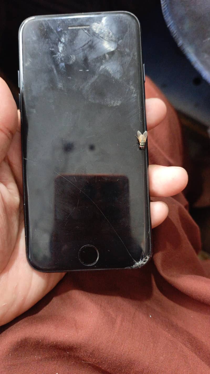 Apple iPhone 7 1