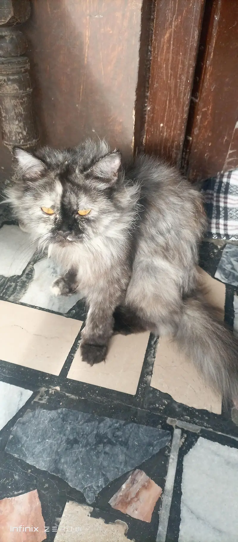 urgent sale — photo 2
