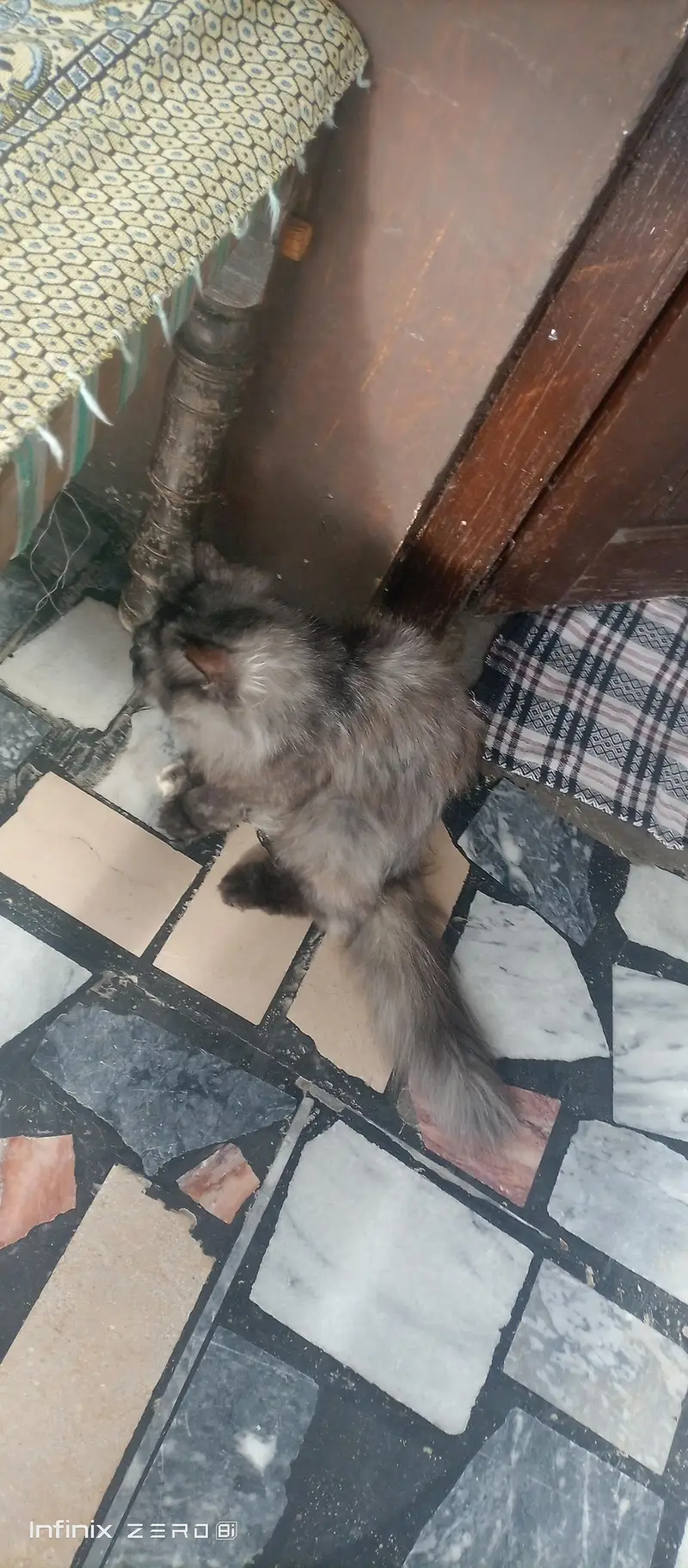 urgent sale — photo 3