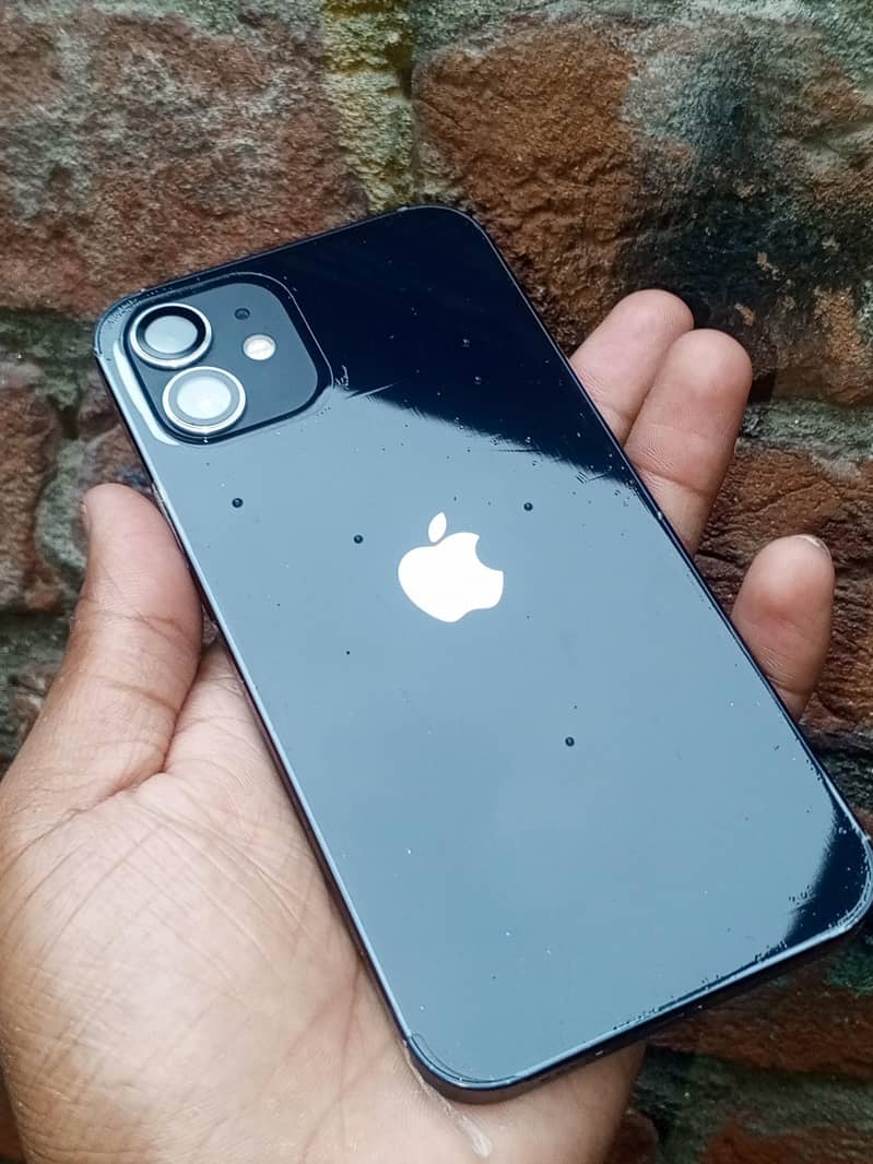Apple iPhone 12 1