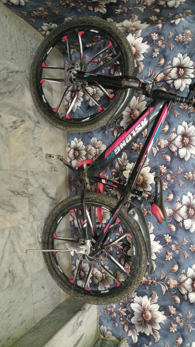 bicycle