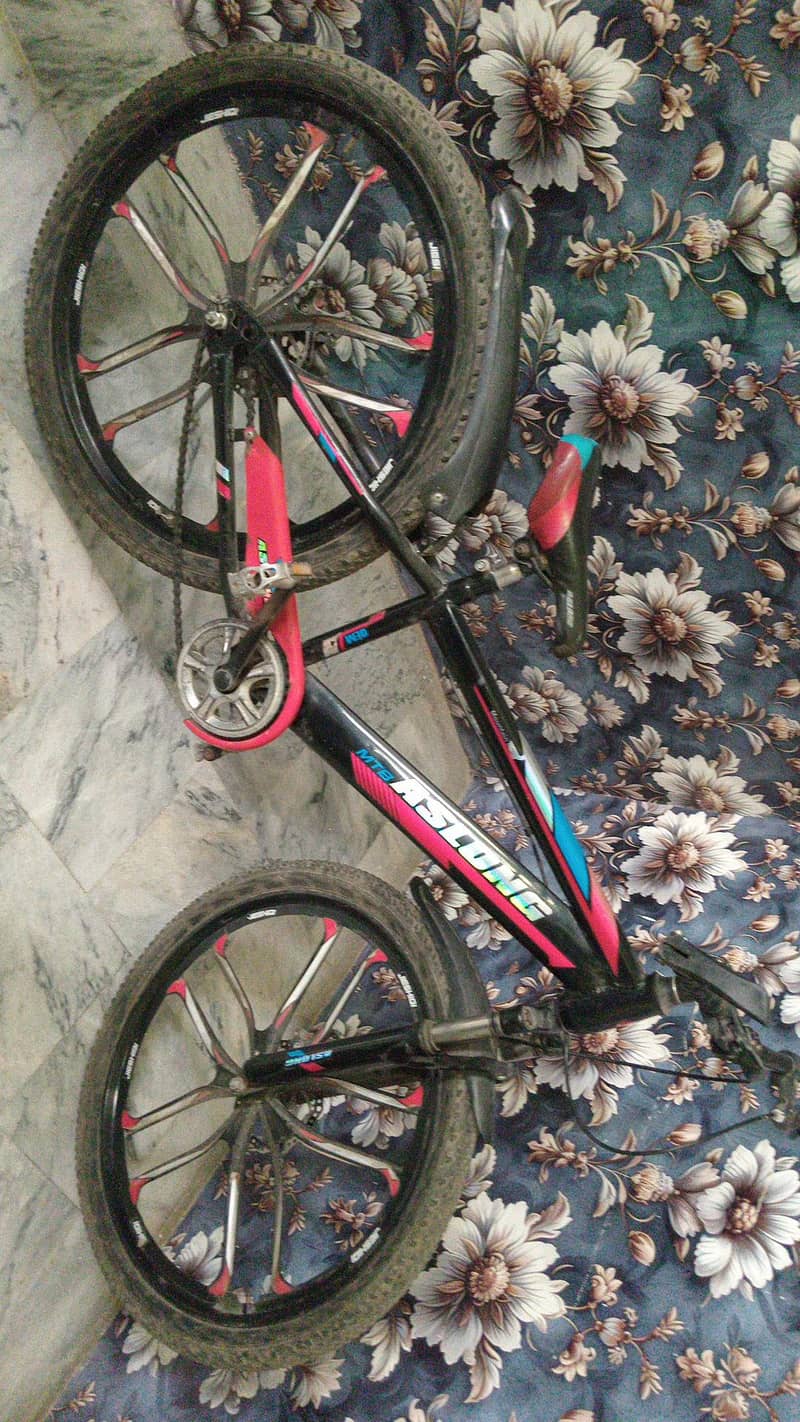 bicycle 1
