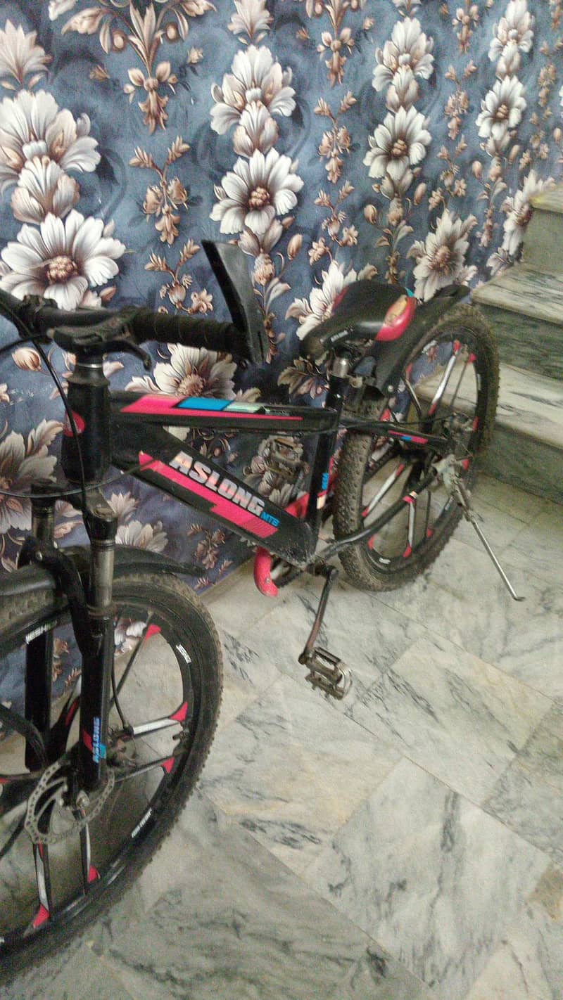 bicycle 2