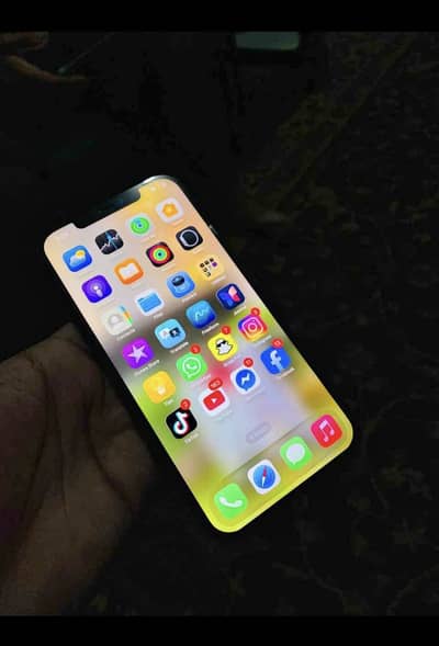 Apple iPhone 12 Pro Max