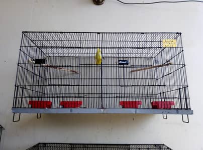 Cages, Boxes & Doliyan for sale Read full ad 03129196869
